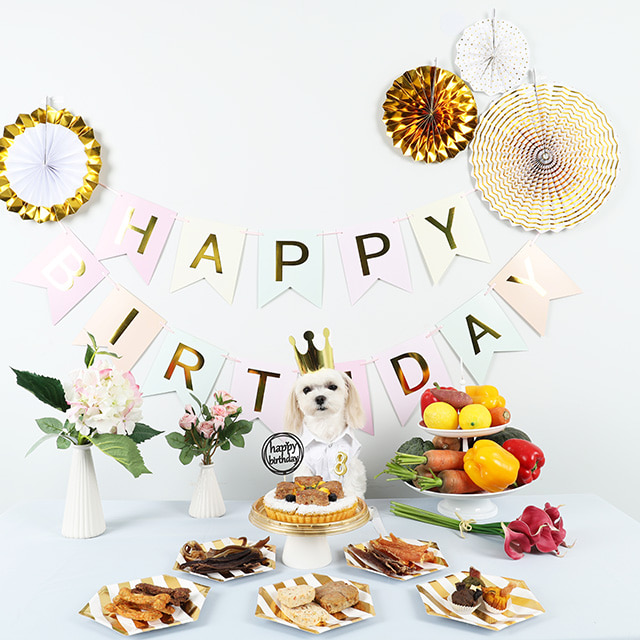 레몬펫 강아지 생일파티 패키지 세트 (케이크,수제간식,장식세트)